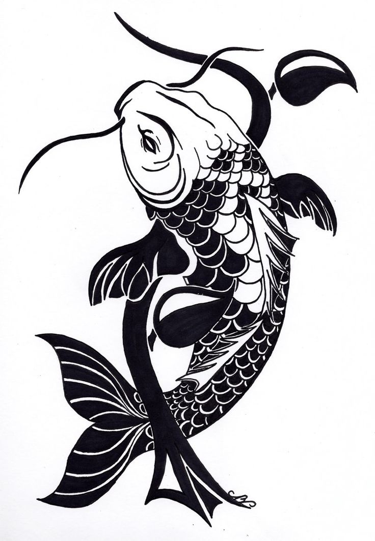 1000+ images about ~ KOI ~