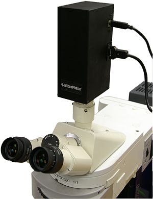 PhaseView digital camera fits on any microscope for cell imaging ...