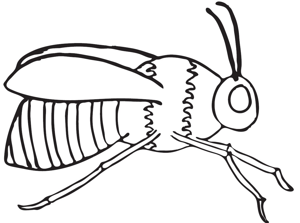 Bee Coloring Pages - MumbleBee Inc