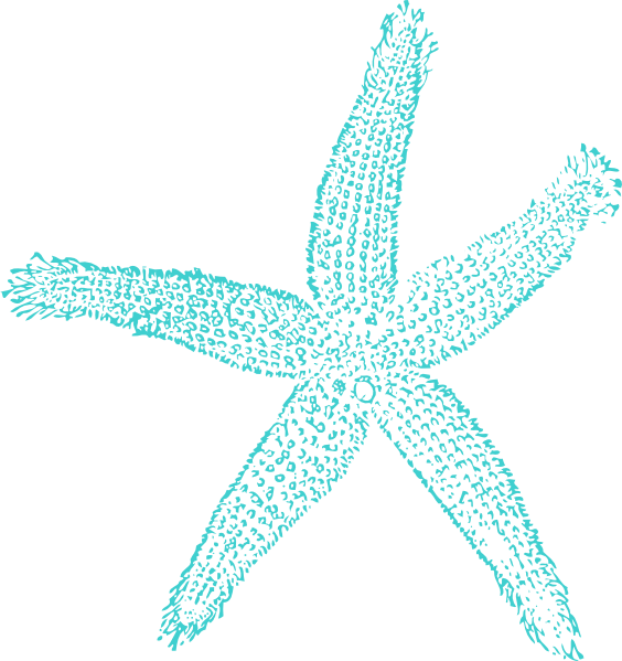 Turquoise Starfish clip art - vector clip art online, royalty free ...