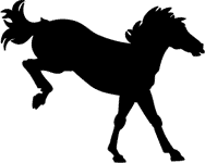 Horse Stickers | Horse Decals - Car Stickers