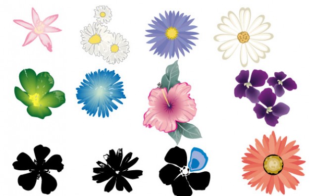 Flower Vector Set in Color | Download free Vector