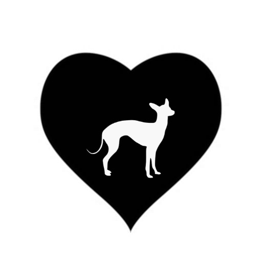 Italian Greyhound White on Black Heart Stickers from Zazzle.