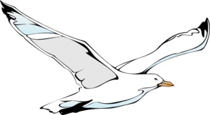 Flying Seagull Clip Art Picture