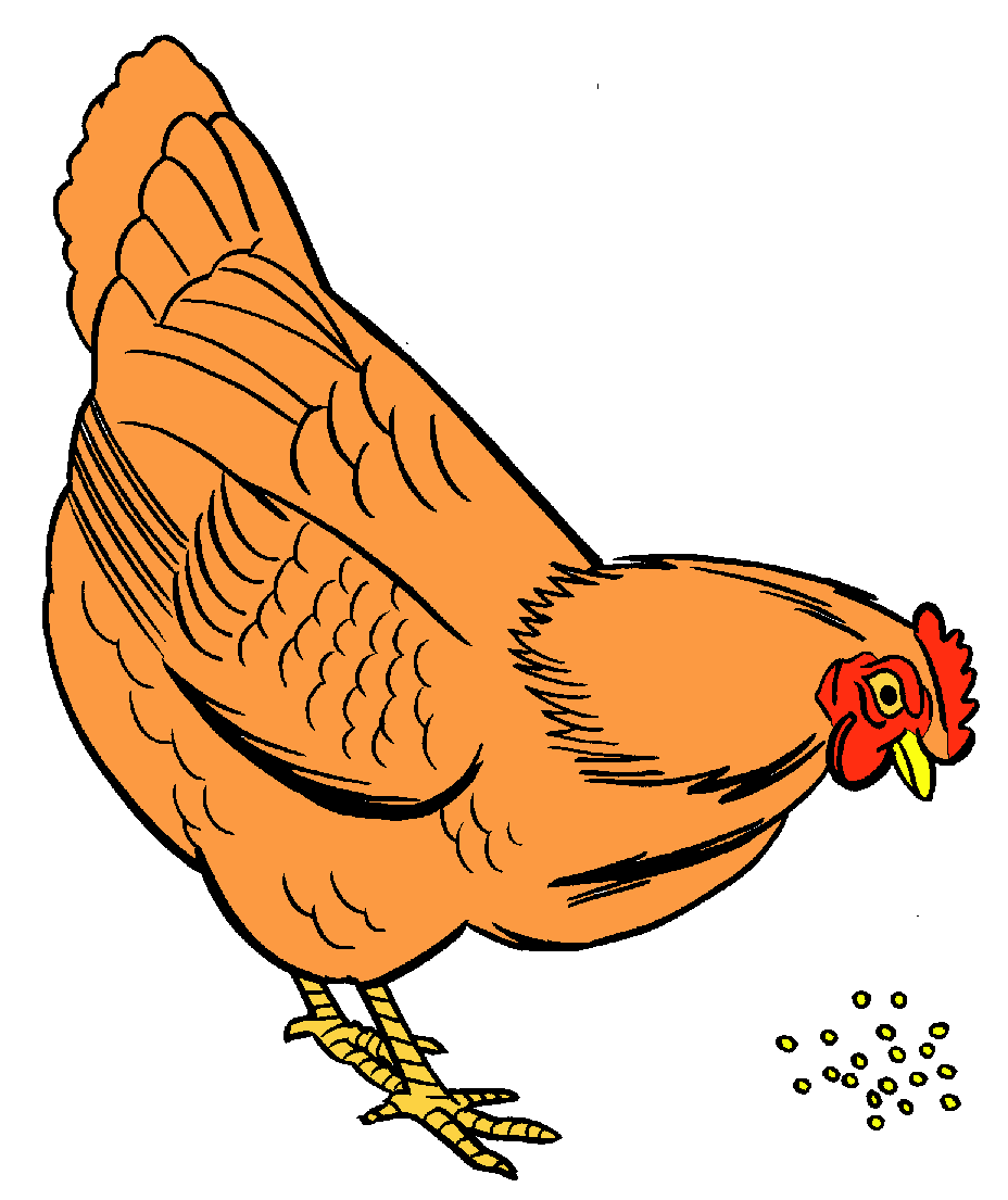 Empty Hen Nest Clipart - Free Clipart Images