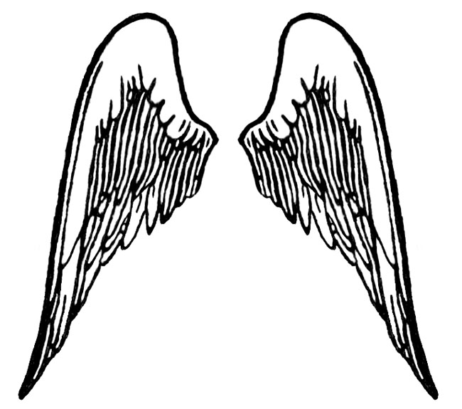 Gallery For > White Angel Wings Transparent Background