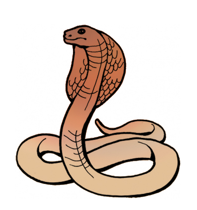 Cobra Art - ClipArt Best