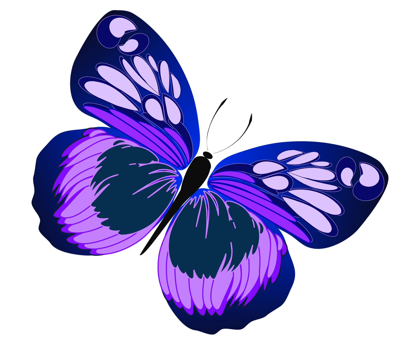 Free clipart butterfly