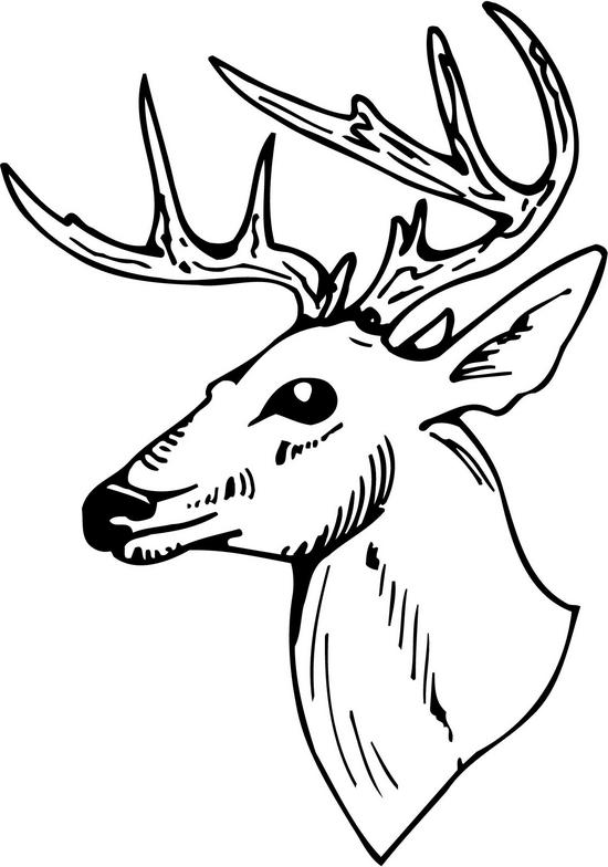 Deer Head Clipart Black And White - Free Clipart ...