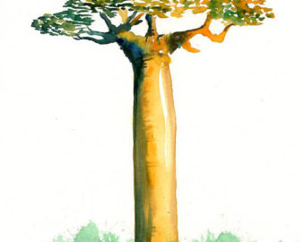 Baobab tree | Etsy