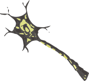 Neuron Clip Art - vector clip art online, royalty ...