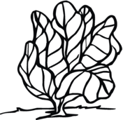 Lettuce coloring pages | Free Coloring Pages