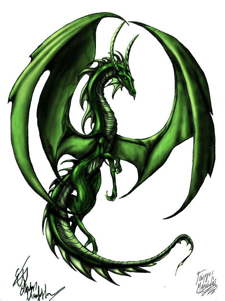 1000+ images about dragons | Baby dragon, Dragon ...