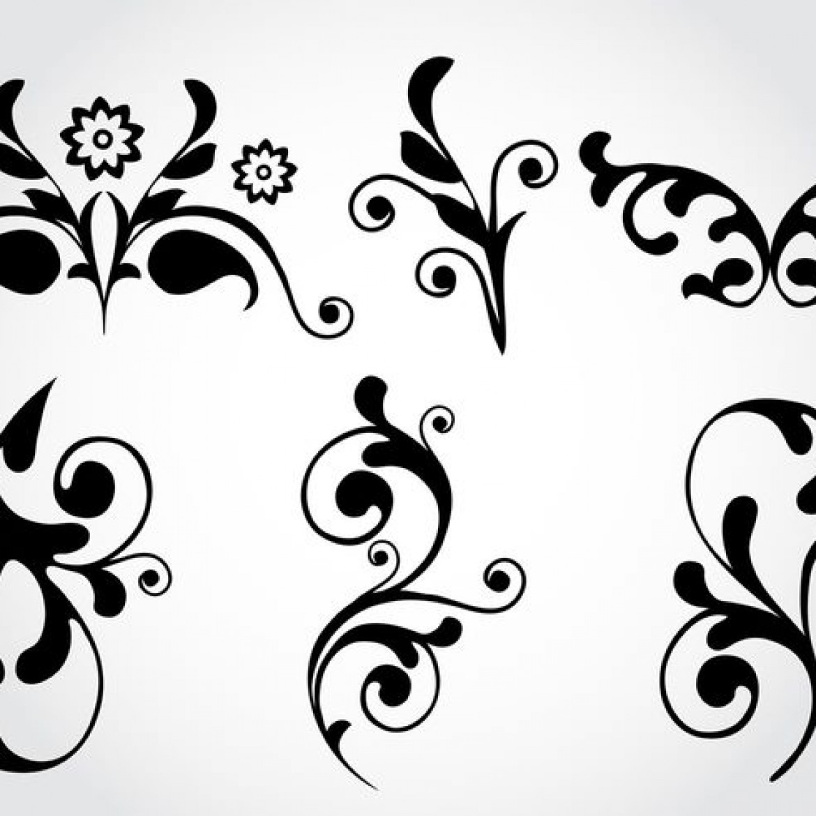 Free vector Floral Flourish Vector Elements #24062 | My Graphic Hunt