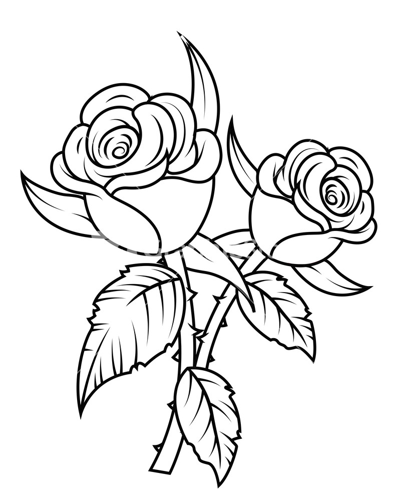 Roses public domain rose decoration free clip art - Clipartix