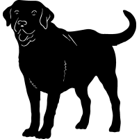 Lab dog clipart