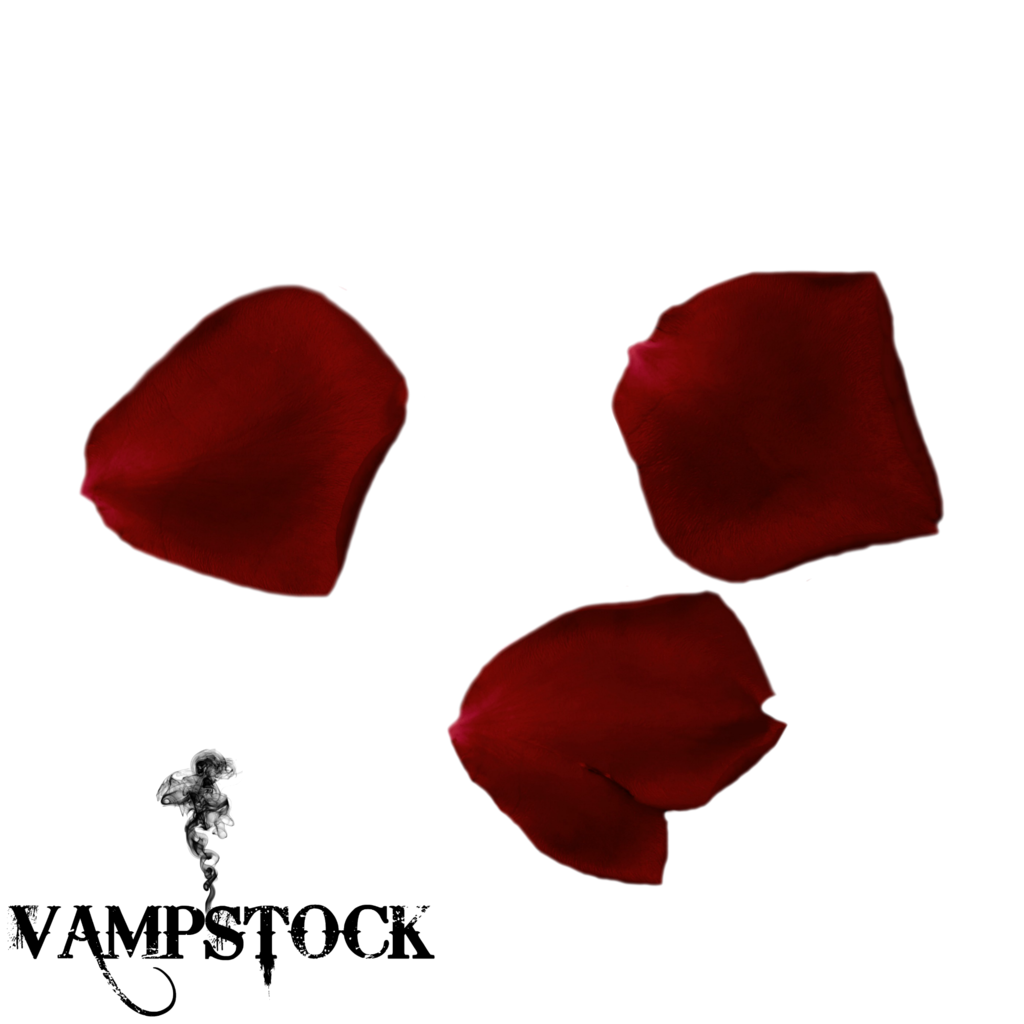 DeviantArt: More Like Rose Petal PNG 1 Vampstock by VAMPSTOCK