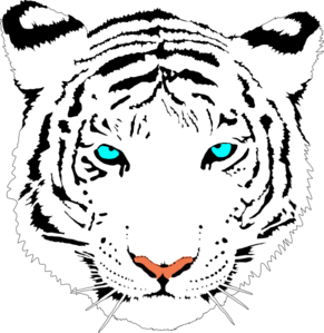 Bengal Tiger (white) clip art - vector clip art online, royalty ...