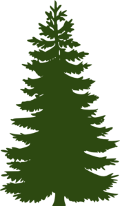 green-pine-tree-md.png