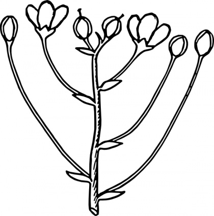 Download Roses Flower Arrangement clip art Vector Free