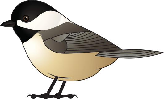 Clip art chickadee