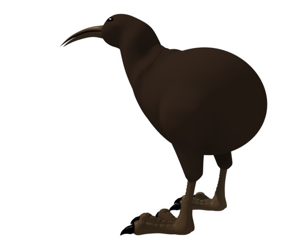 Kiwi Bird Image - ClipArt Best