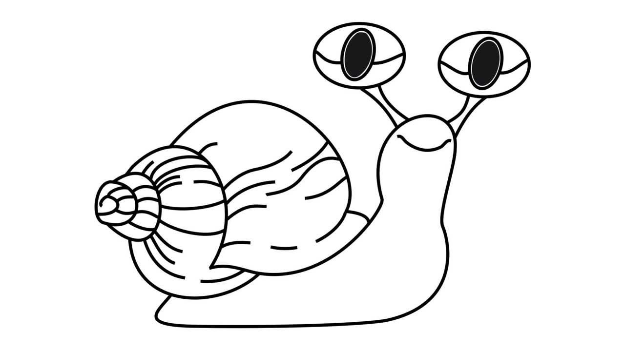 How to draw a Snail - step by step :) - Snail Drawing - YouTube
