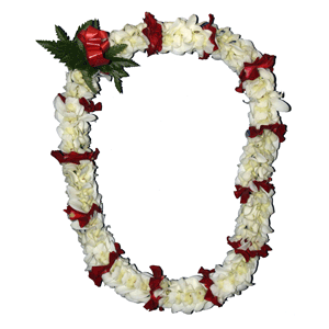 Fancy Orchid Lei (White with Rose Petals) - The Hawaiian Lei Company