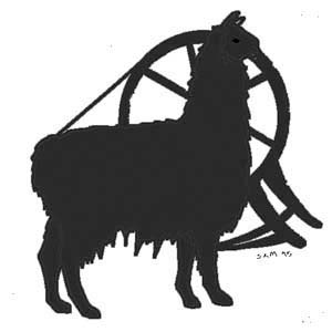 Quality Llama and Alpaca Products - Alternative Livestock Supply