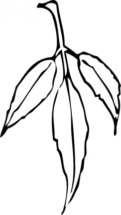 Leaf Clip Art Black And White - ClipArt Best