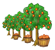 Orange Tree Clip Art - Orange Trees and Baskets - Orange Tree Grove