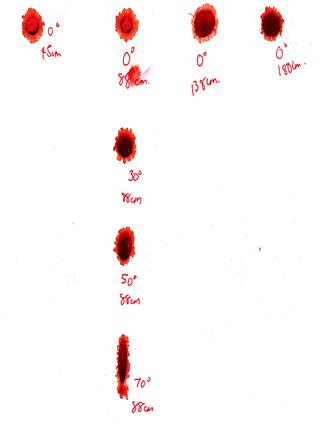 21009jesslynkohbiologyjournal - CSI_Blood Splatter