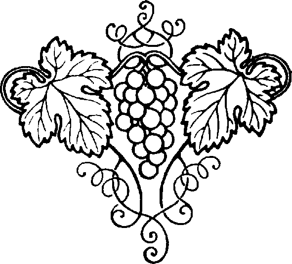 Grape Vine Drawings - ClipArt Best