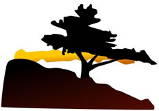 Bonsai Tree Clip Art - ClipArt Best