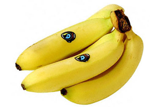 Fairtrade Banana Quiz Answers | Scotmid Co-operative