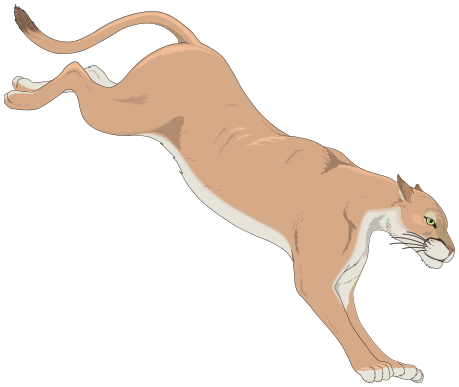 Free Mountain Lion Clip Art