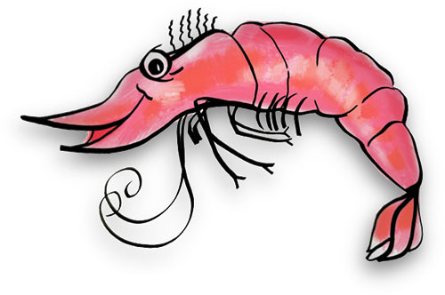 Free Shrimp Gifs - Shrimp Animations - Clipart