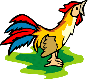 Animated rooster clipart