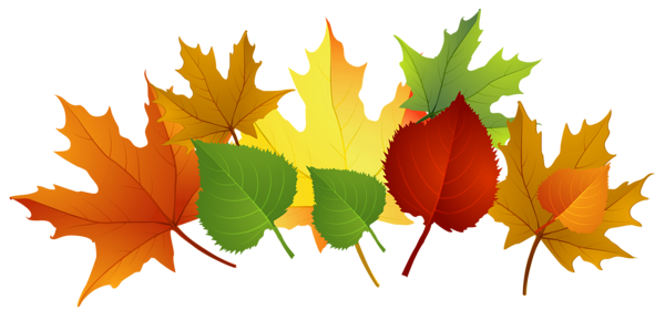 Fall Leaves Clipart - Clipartion.com