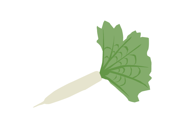 03-Chinese cabbage radish | Clip Art Free
