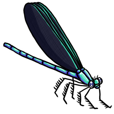 FREE Dragonfly Clip Art 25