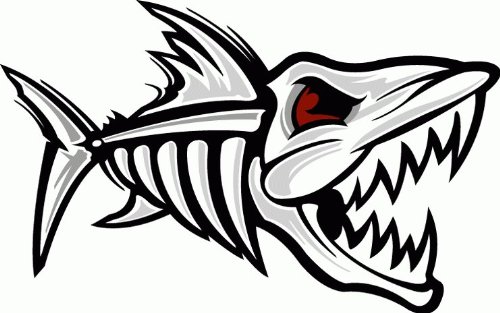 Amazon.com - Fish Skeleton Shark Car Bumper Sticker Decal 5"x 3" -