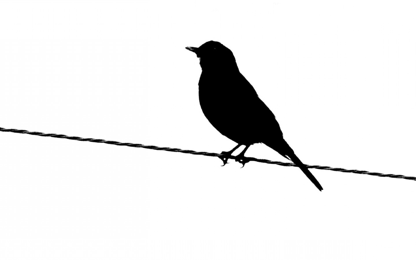 black and white thunderbird bird silhouette