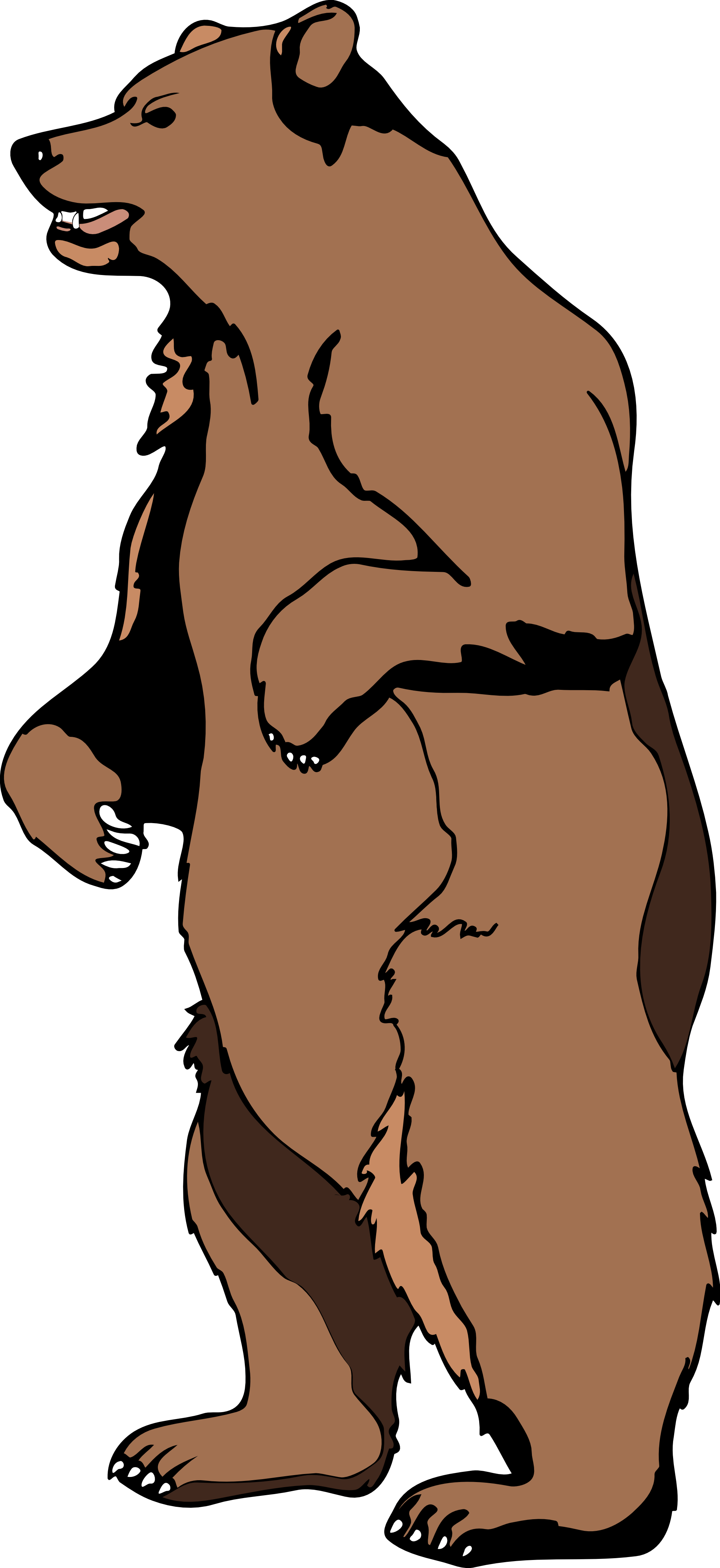 Clip Art Grizzly Bear - Free Clipart Images