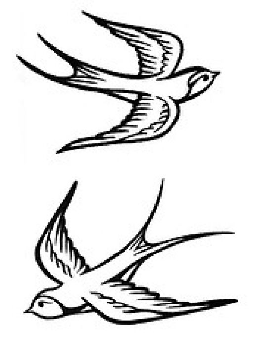 Pix For > Bird Drawings For Tattoos