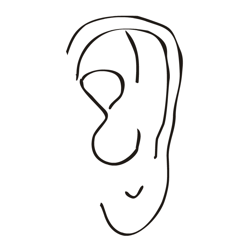 Image Of The Ear | Free Download Clip Art | Free Clip Art | on ...