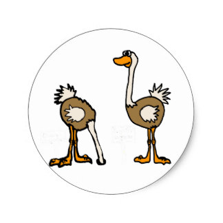 Ostrich Cartoon Gifts on Zazzle