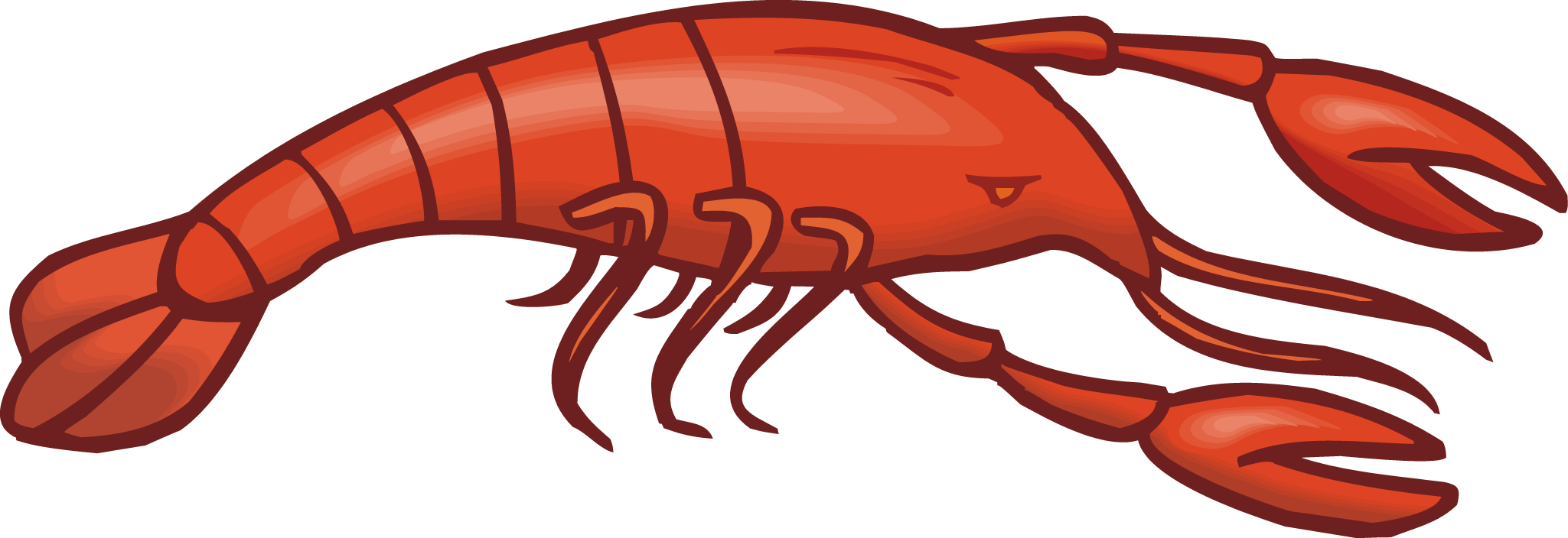 Crayfish Drawing Colouring Pages Clipart - Free to use Clip Art ...