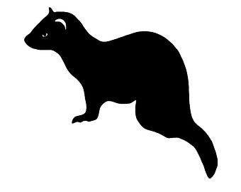 ferret decal – Etsy