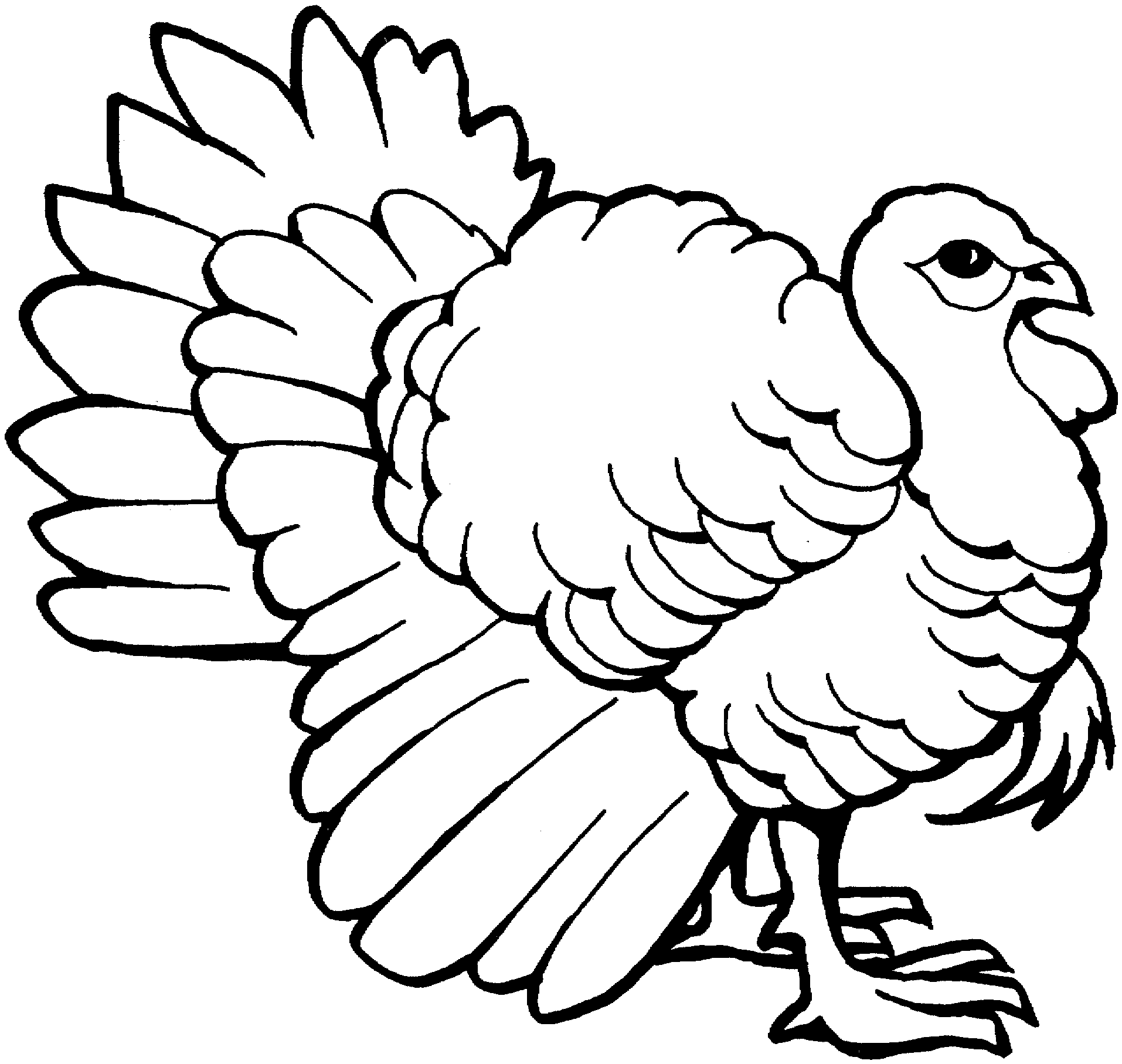 Turkey Line Art - ClipArt Best